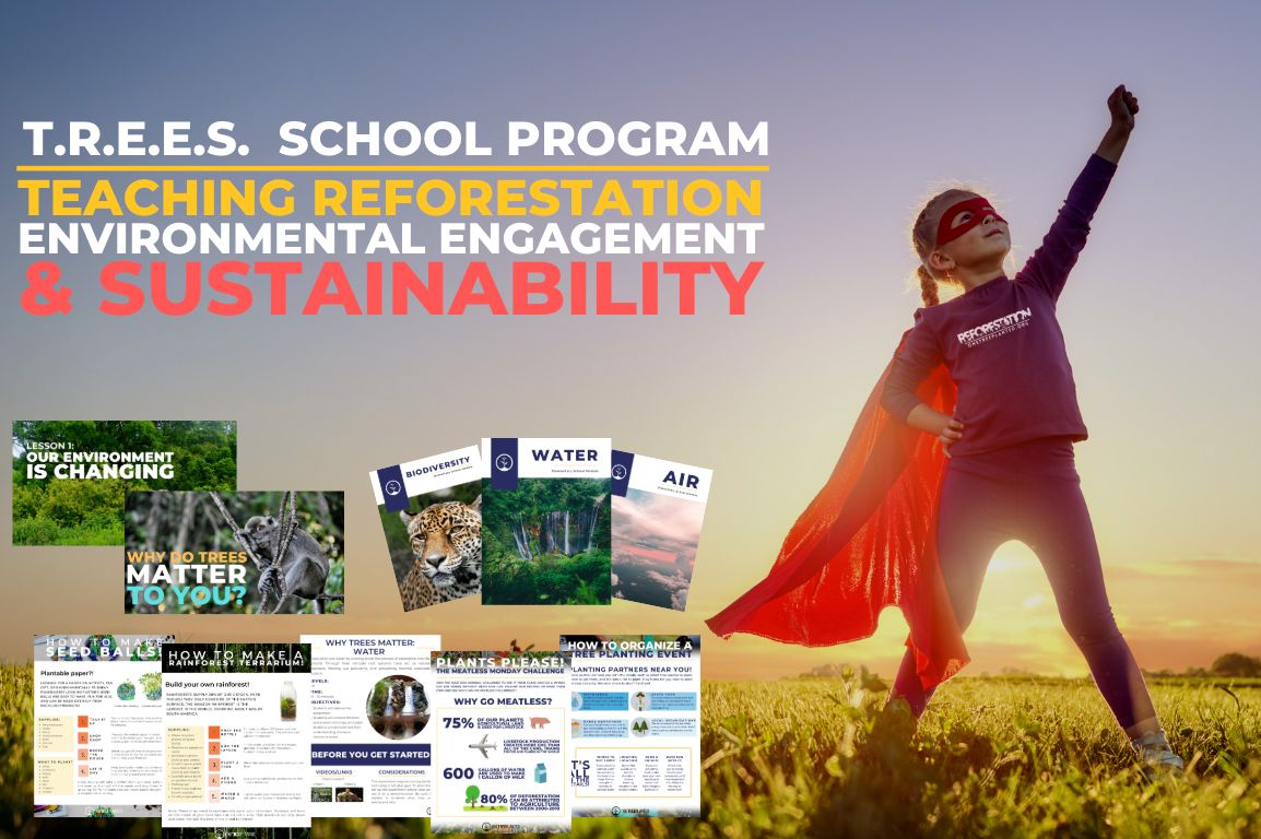 TREES School Program TREES School Program